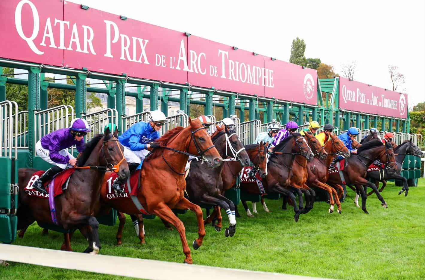 Longchamps starting stalls bursting open.