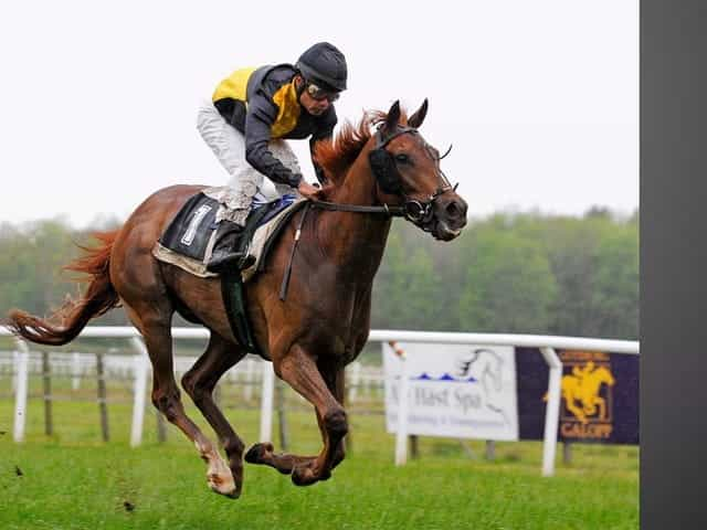 A jockey racing his horse in full gallop on an outdoor race track during an event.